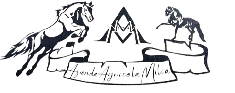 Azienda Agricola “Milia Marsioni Antonino”