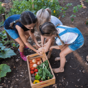 Cesto di Frutta Mista Biologica